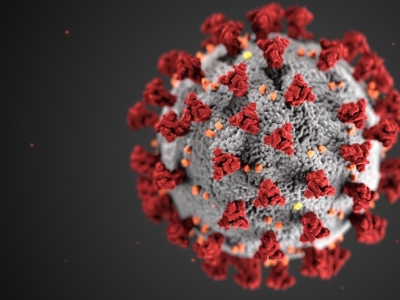 Les masques en tissu protègent-ils bien du coronavirus ?    